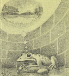 Krsna-the Supreme Scientist