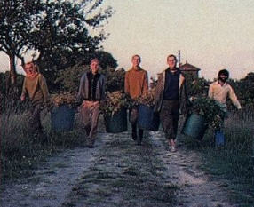 Devotees in Farms