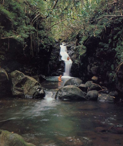 The Devotees in Rainfall