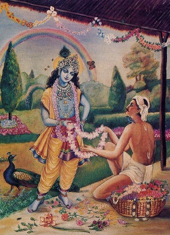 The Evolution of the Soul Culminates in Krsna Consciousness