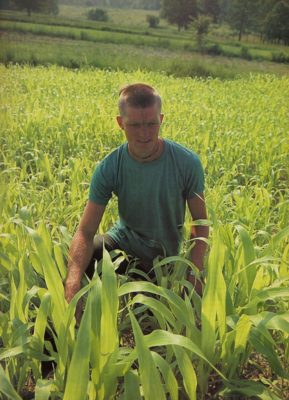 Sorghum Yields A Sweet Syrup That Replace Sugar