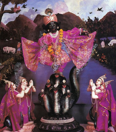 Krsna Dance in Head Of Kaliya