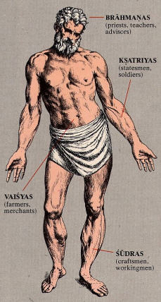 The Anatomy Of The Social Body