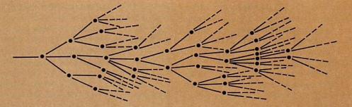 The Relationship Between Diffrent Possible of Mathematic Resoning Can Be Represented By a Tree