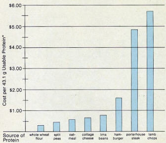 Protein Cost Comparisons