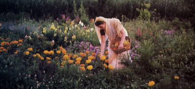 Picking Flowers for Lord