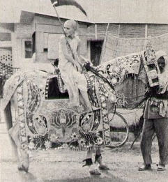 Young Devotee Rode Horses in The Parade Celebrating The Openign New Templejpg