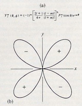 Can Quantum Theory Explain Consciousness