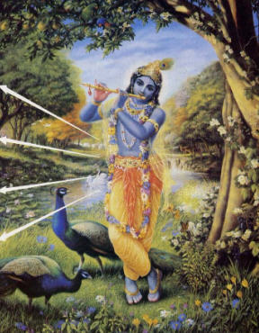 Supreme Lord Krishna