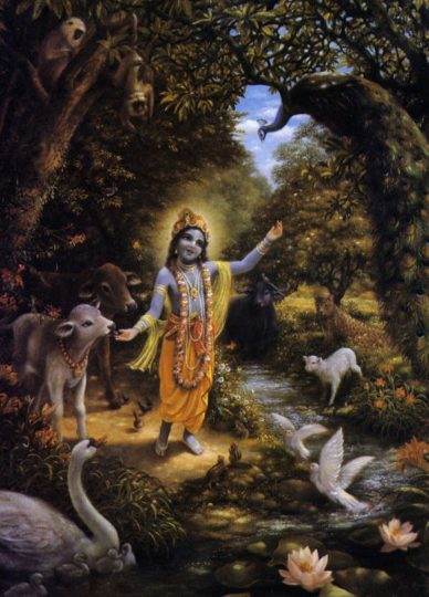 Krsna in Vrndavan Forest