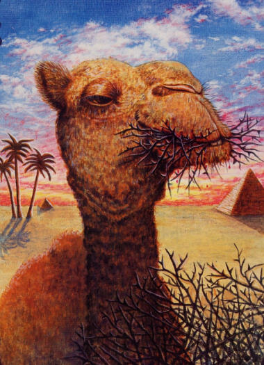 The Camel and the Thorns