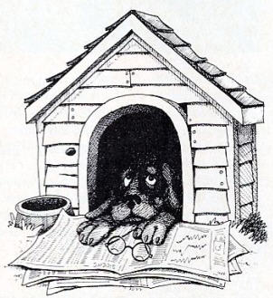 Who's In The Doghouse Now