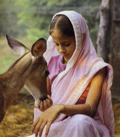 Ananda Dasi Feeds The Deer