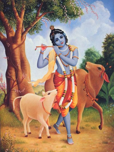 Krishna Play Flute