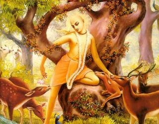 The Glories of Lord Caitanya, Part 11 by Drutakarma Dasa
