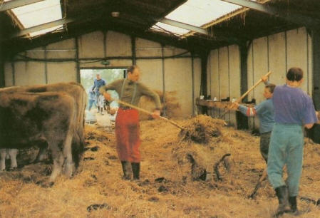 Barn Cleaning Time