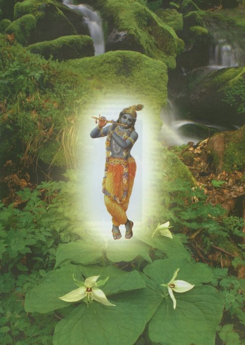 Shri Krishna