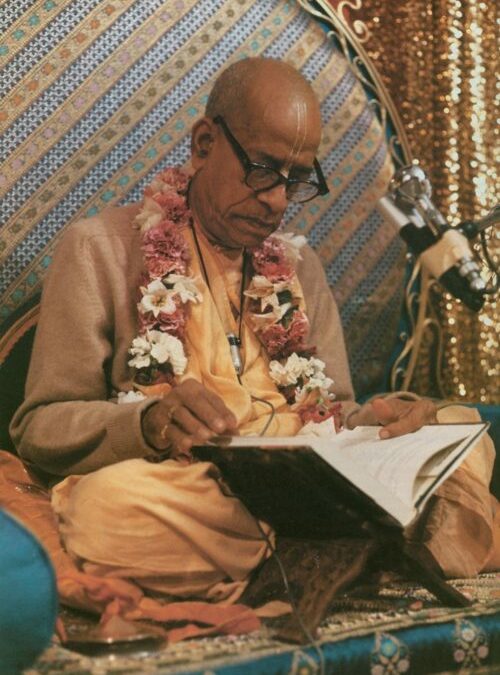 The Meaning Of Perfection by His Divine Grace A.C. Bhaktivedanta Swami Prabhupada