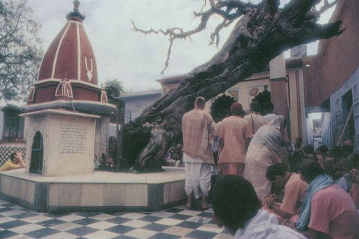 Imli Tala Temple