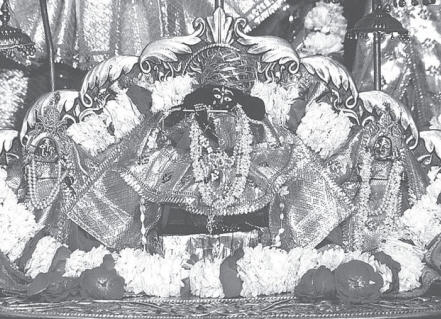 Sri Radha Damodar