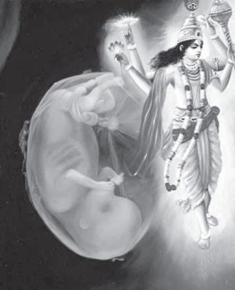 Pariksit Maharaj Saw The Lord When He Was in The Womb of His Mother