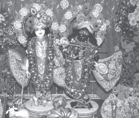 Sri Sri Krsna Balarama