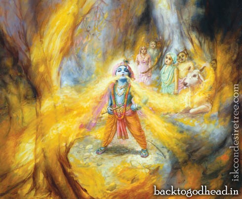 Lord Krsna Swallows a forest fire - Back To Godhead