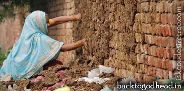 drying up cowdung - Back To Godhead