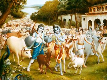 Lord Krishna