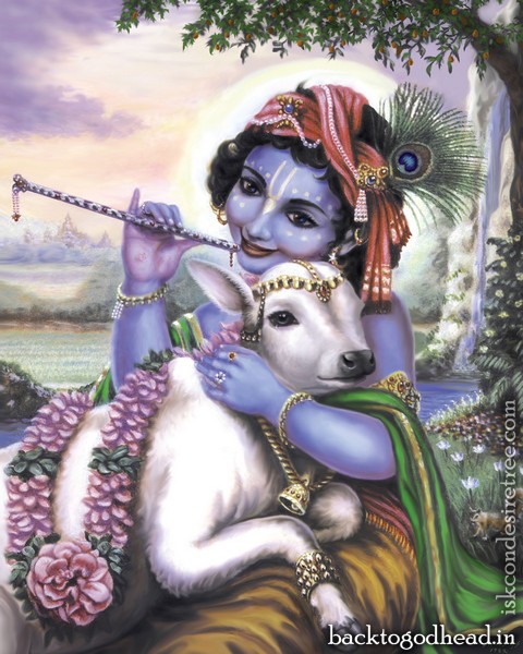 Cow with krsna - Back To Godhead