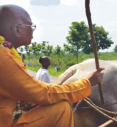 The Forty-Year History of ISKCON Padayatra