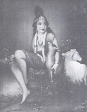 The Opulences of Krsna by Hayagriva Dasa Adhikari