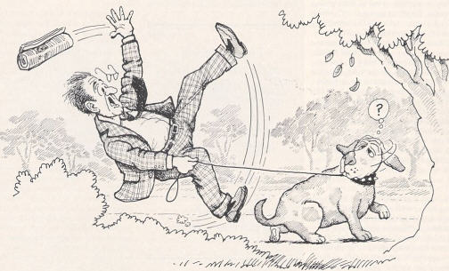 Falling For Fido by Mathuresa Dasa
