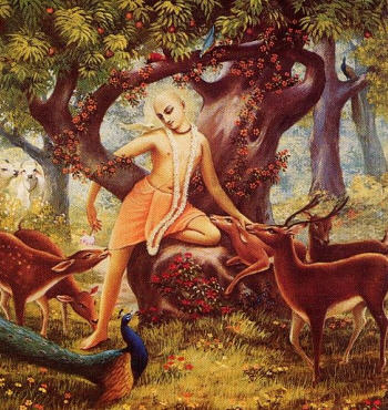 Thirty Days In Krsna’s Land by Lokanath Swami