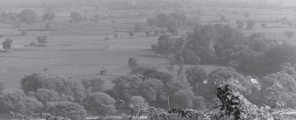 Autumn In Vrndavana by Vrajacandra Dasa