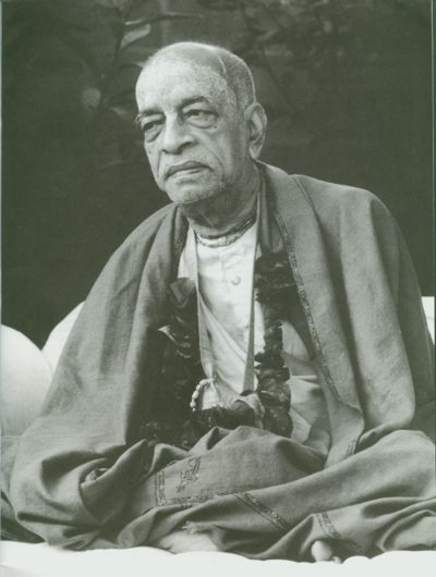 The Vaikuntha Man by Badrinarayana Dasa