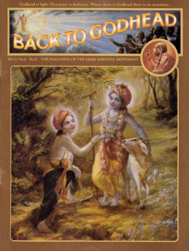 Back To Godhead Volume-17 Number-06, 1982