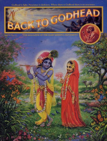 Back To Godhead Volume-19 Number-11, 1984