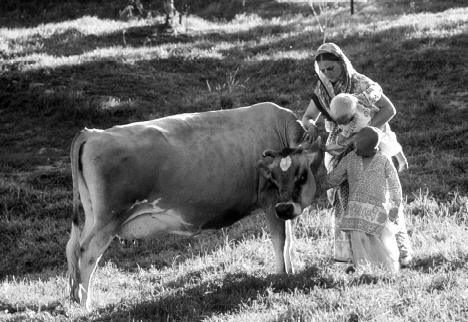 Labeling Body Parts by Satyaraja Dasa