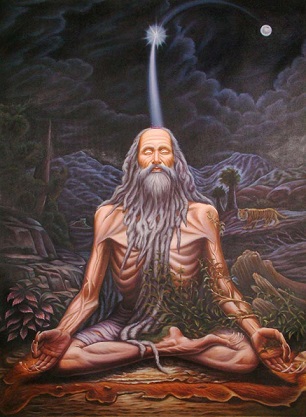From Faith to Determination by Vraja Bihari Dasa