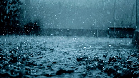 Rain Rain (Don’t) Go Away by Syamananda Dasa